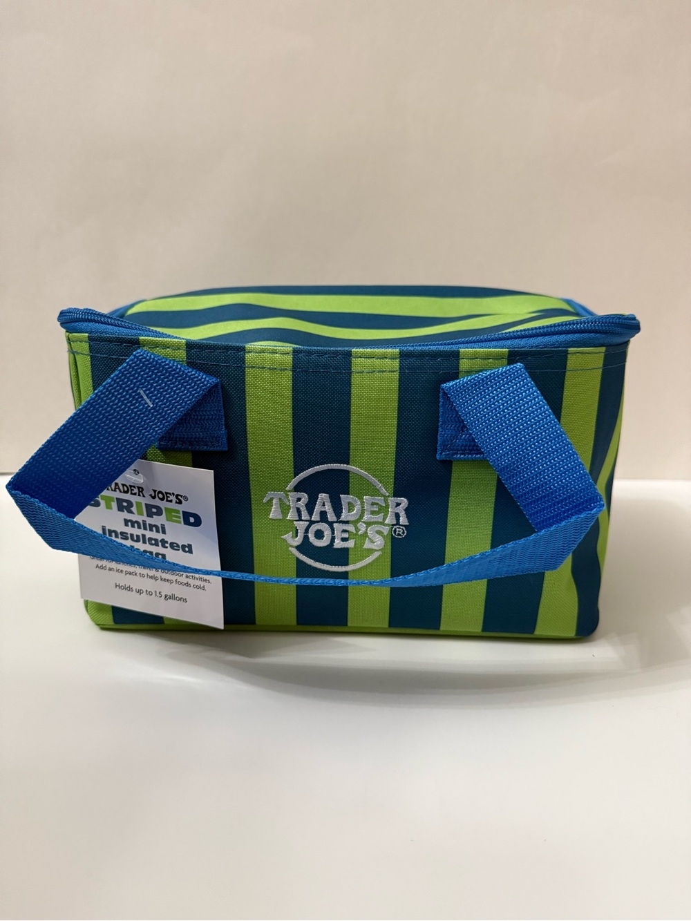 Trader Joe's Striped Mini Insulated Bag - Blue and Green
